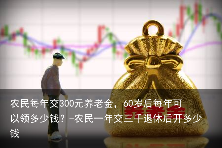 农民每年交300元养老金，60岁后每年可以领多少钱？-农民一年交三千退休后开多少钱