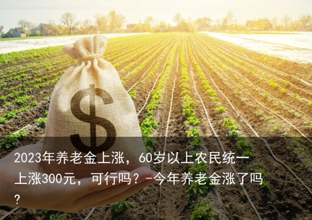 2023年养老金上涨，60岁以上农民统一上涨300元，可行吗？-今年养老金涨了吗?