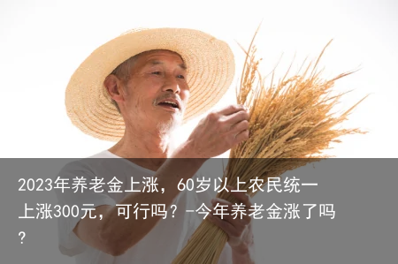 2023年养老金上涨，60岁以上农民统一上涨300元，可行吗？-今年养老金涨了吗?