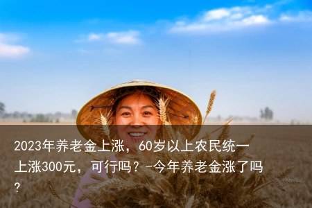 2023年养老金上涨，60岁以上农民统一上涨300元，可行吗？-今年养老金涨了吗?