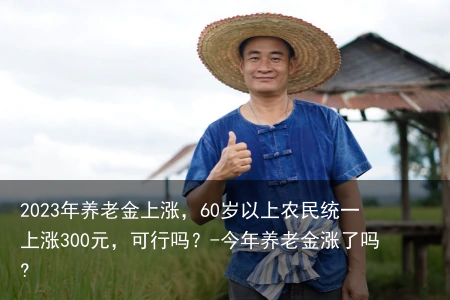 2023年养老金上涨，60岁以上农民统一上涨300元，可行吗？-今年养老金涨了吗?