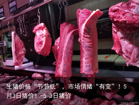 生猪价格“节节低”，市场情绪“有变”！5月3日猪价！-5.3日猪价