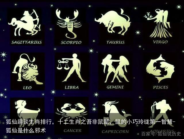 狐仙趣谈生肖排行，十二生肖之吾非鼠辈，鼠的小巧玲珑第一智慧-狐仙是什么邪术