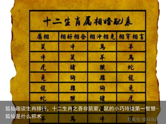 狐仙趣谈生肖排行，十二生肖之吾非鼠辈，鼠的小巧玲珑第一智慧-狐仙是什么邪术