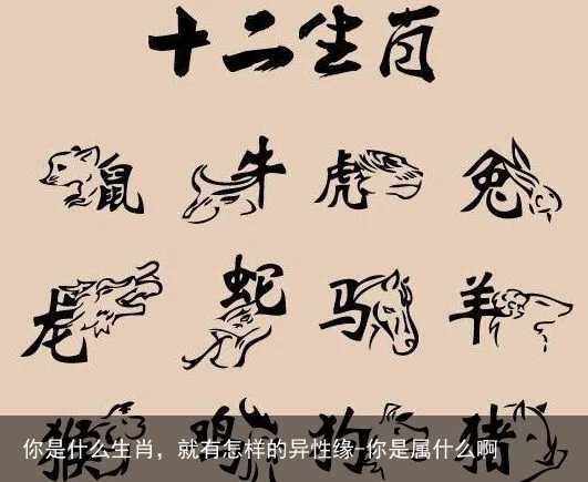 你是什么生肖，就有怎样的异性缘-你是属什么啊