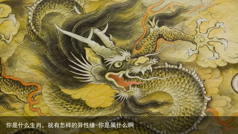 你是什么生肖，就有怎样的异性缘-你是属什么啊