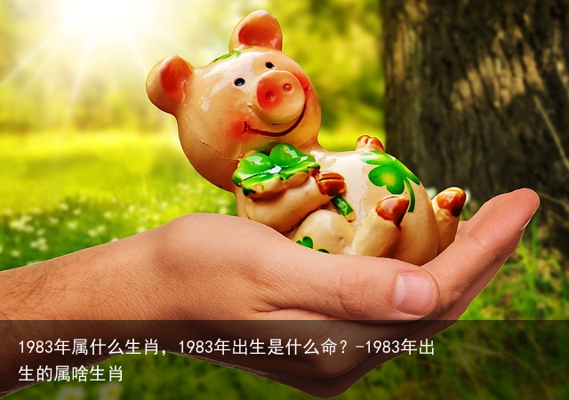 1983年属什么生肖，1983年出生是什么命？-1983年出生的属啥生肖