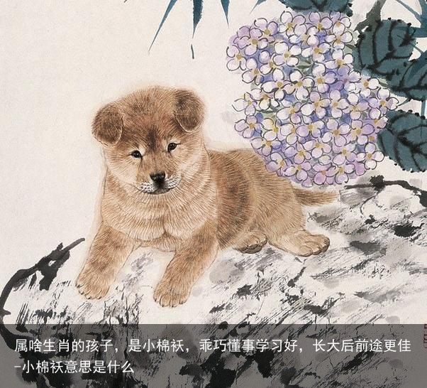 属啥生肖的孩子，是小棉袄，乖巧懂事学习好，长大后前途更佳-小棉袄意思是什么