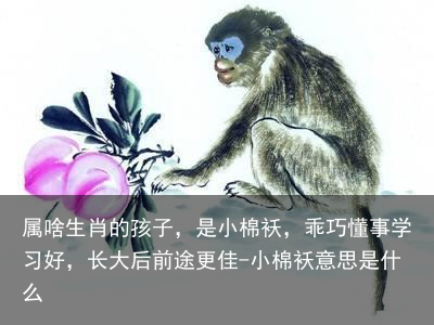 属啥生肖的孩子，是小棉袄，乖巧懂事学习好，长大后前途更佳-小棉袄意思是什么