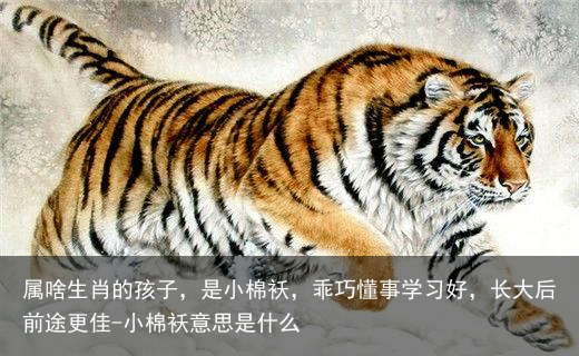 属啥生肖的孩子，是小棉袄，乖巧懂事学习好，长大后前途更佳-小棉袄意思是什么