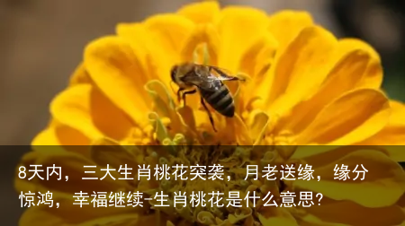 8天内，三大生肖桃花突袭，月老送缘，缘分惊鸿，幸福继续-生肖桃花是什么意思?