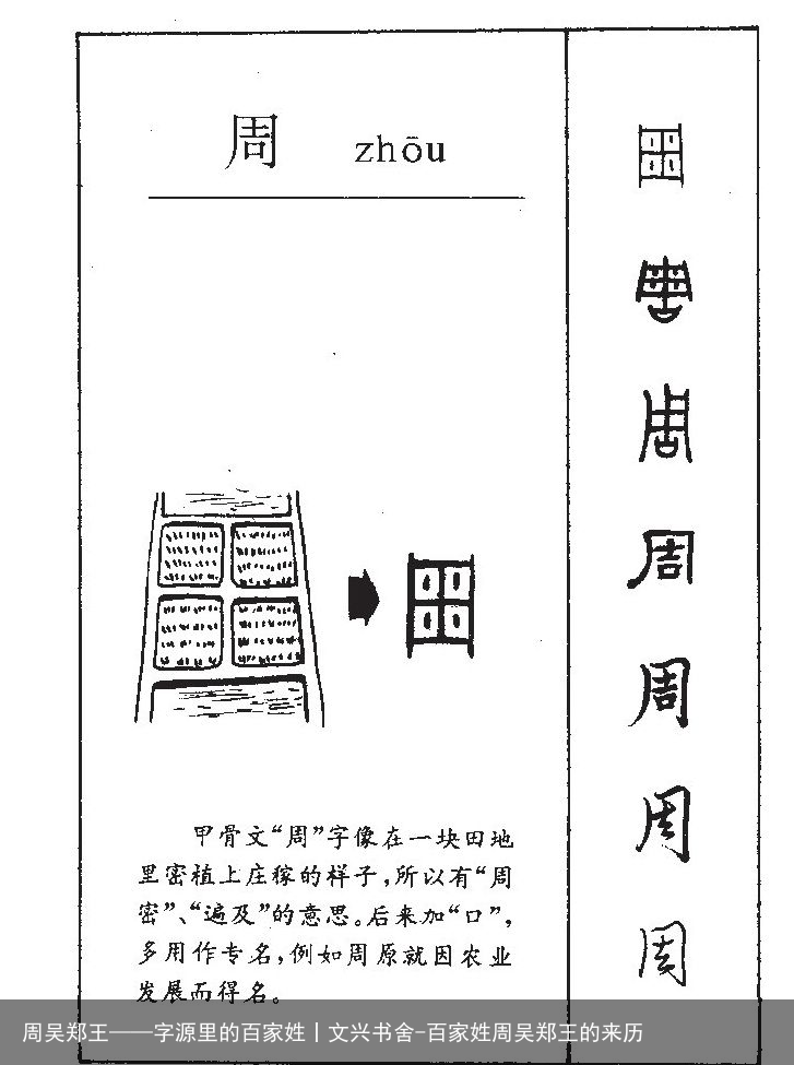 周吴郑王——字源里的百家姓丨文兴书舍-百家姓周吴郑王的来历
