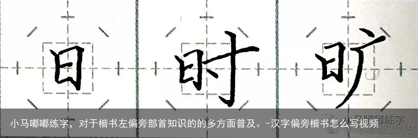 小马嘟嘟练字，对于楷书左偏旁部首知识的的多方面普及。-汉字偏旁楷书怎么写视频