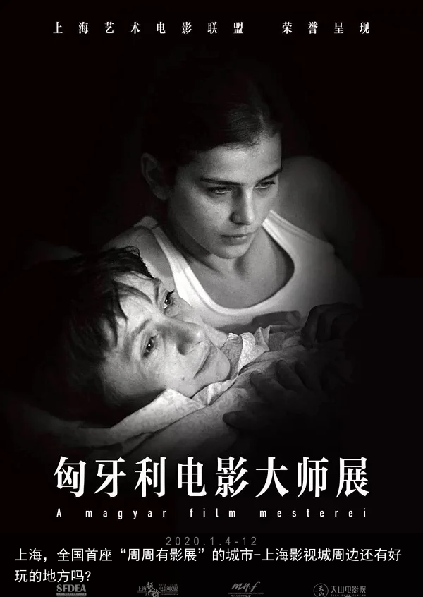 上海，全国首座“周周有影展”的城市-上海影视城周边还有好玩的地方吗?