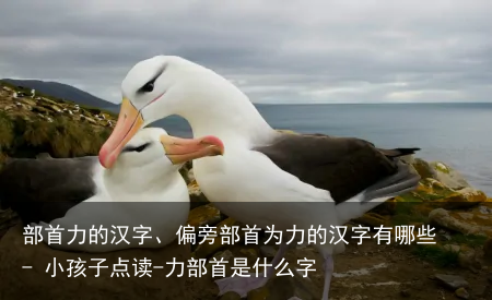 部首力的汉字、偏旁部首为力的汉字有哪些 - 小孩子点读-力部首是什么字