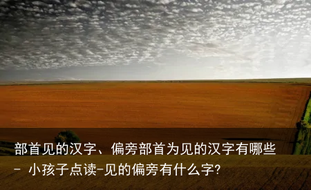 部首见的汉字、偏旁部首为见的汉字有哪些 - 小孩子点读-见的偏旁有什么字?