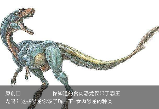 你知道的食肉恐龙仅限于霸王龙吗？这些恐龙你该了解一下-食肉恐龙的种类