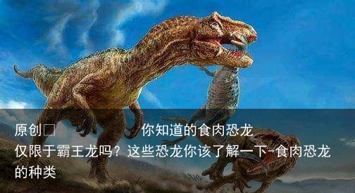 你知道的食肉恐龙仅限于霸王龙吗？这些恐龙你该了解一下-食肉恐龙的种类