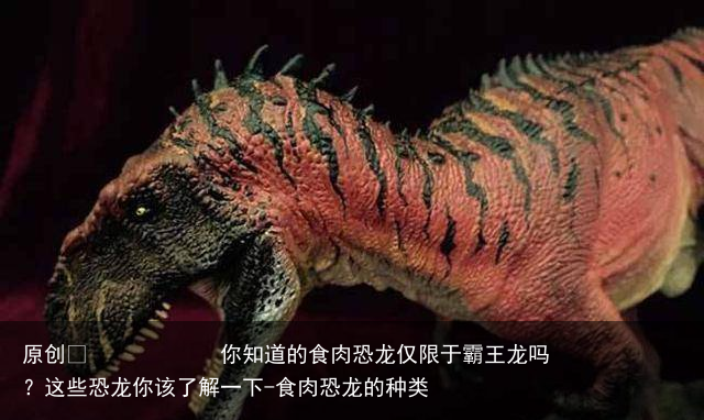 你知道的食肉恐龙仅限于霸王龙吗？这些恐龙你该了解一下-食肉恐龙的种类