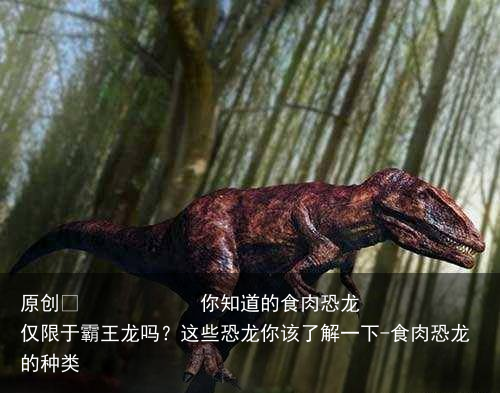 你知道的食肉恐龙仅限于霸王龙吗？这些恐龙你该了解一下-食肉恐龙的种类
