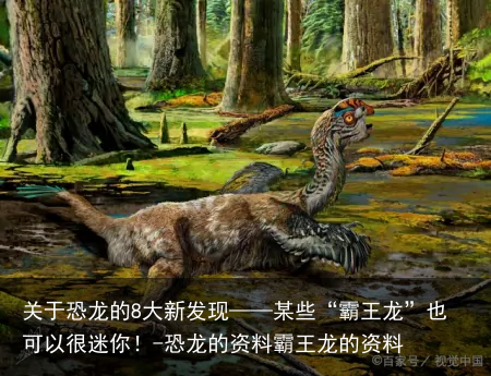 关于恐龙的8大新发现——某些“霸王龙”也可以很迷你！-恐龙的资料霸王龙的资料