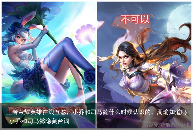 王者荣耀英雄在线互怼，小乔和司马懿什么时候认识的，周瑜知道吗-小乔和司马懿隐藏台词