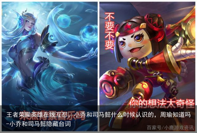 王者荣耀英雄在线互怼，小乔和司马懿什么时候认识的，周瑜知道吗-小乔和司马懿隐藏台词
