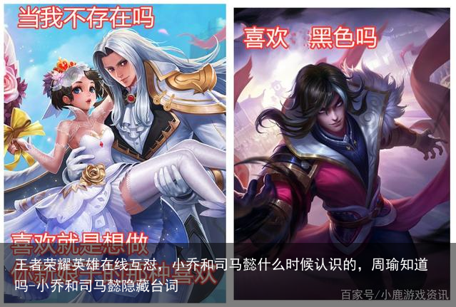 王者荣耀英雄在线互怼，小乔和司马懿什么时候认识的，周瑜知道吗-小乔和司马懿隐藏台词