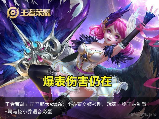 王者荣耀：司马懿大A增强，小乔蔡文姬被削，玩家：终于被制裁！-司马懿小乔语音彩蛋