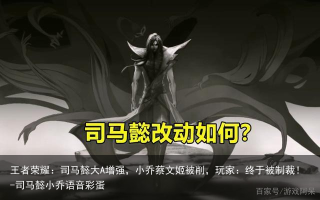 王者荣耀：司马懿大A增强，小乔蔡文姬被削，玩家：终于被制裁！-司马懿小乔语音彩蛋