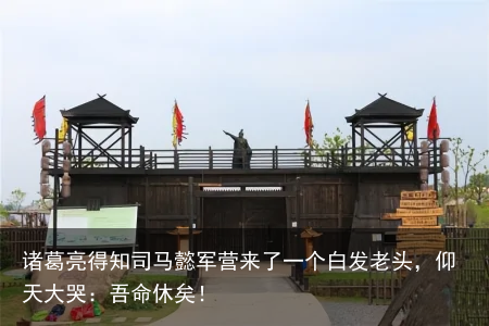 诸葛亮得知司马懿军营来了一个白发老头，仰天大哭：吾命休矣！