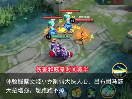 体验服蔡文姬小乔削弱大快人心，吕布司马懿大招增强，想跑跑不掉