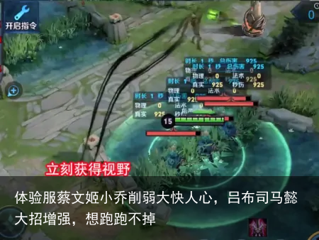 体验服蔡文姬小乔削弱大快人心，吕布司马懿大招增强，想跑跑不掉