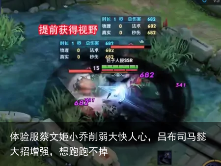 体验服蔡文姬小乔削弱大快人心，吕布司马懿大招增强，想跑跑不掉