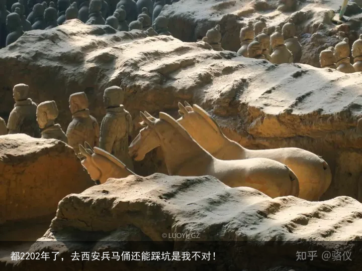 都2202年了，去西安兵马俑还能踩坑是我不对！