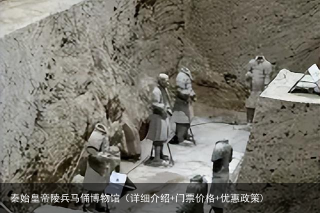秦始皇帝陵兵马俑博物馆（详细介绍+门票价格+优惠政策)