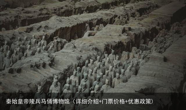 秦始皇帝陵兵马俑博物馆（详细介绍+门票价格+优惠政策)
