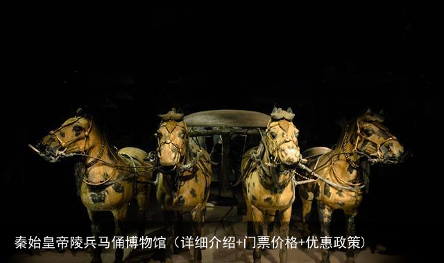 秦始皇帝陵兵马俑博物馆（详细介绍+门票价格+优惠政策)