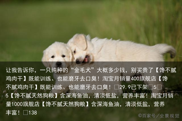 让我告诉你，一只纯种的“金毛犬”大概多少钱，别买贵了