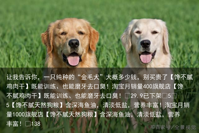 让我告诉你，一只纯种的“金毛犬”大概多少钱，别买贵了
