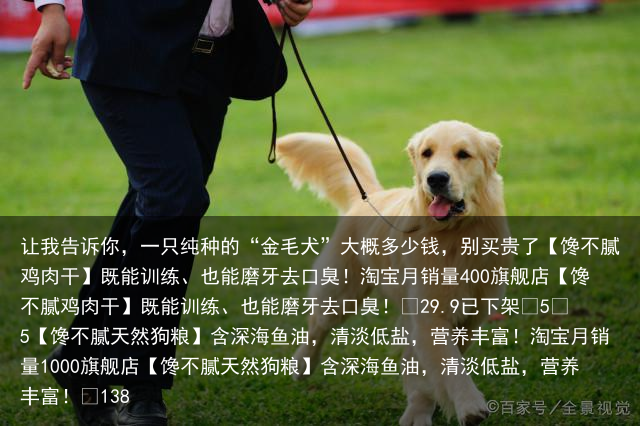 让我告诉你，一只纯种的“金毛犬”大概多少钱，别买贵了
