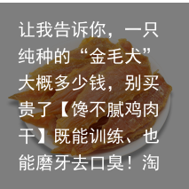 让我告诉你，一只纯种的“金毛犬”大概多少钱，别买贵了