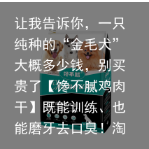 让我告诉你，一只纯种的“金毛犬”大概多少钱，别买贵了