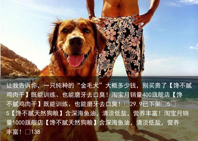 让我告诉你，一只纯种的“金毛犬”大概多少钱，别买贵了