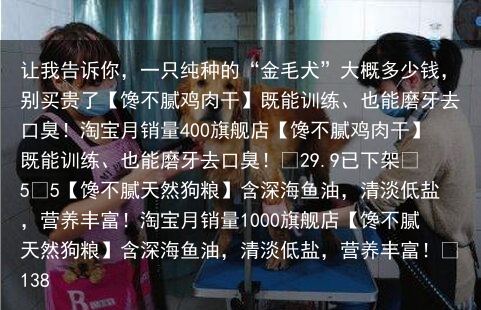 让我告诉你，一只纯种的“金毛犬”大概多少钱，别买贵了