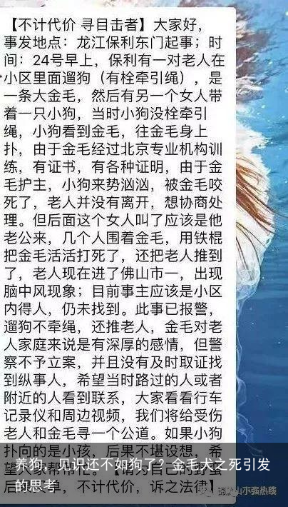 养狗，见识还不如狗了？金毛犬之死引发的思考