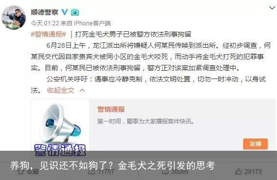养狗，见识还不如狗了？金毛犬之死引发的思考