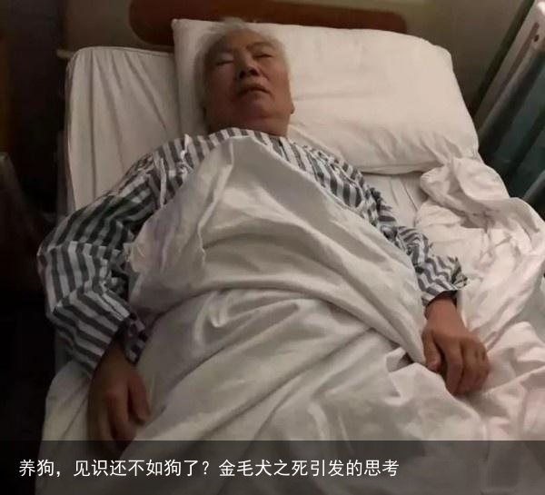 养狗，见识还不如狗了？金毛犬之死引发的思考