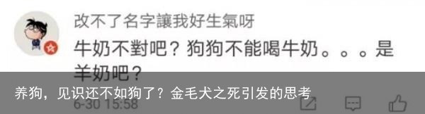 养狗，见识还不如狗了？金毛犬之死引发的思考