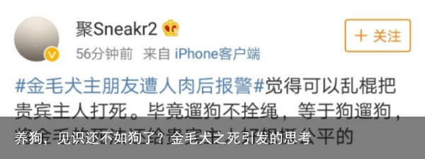 养狗，见识还不如狗了？金毛犬之死引发的思考
